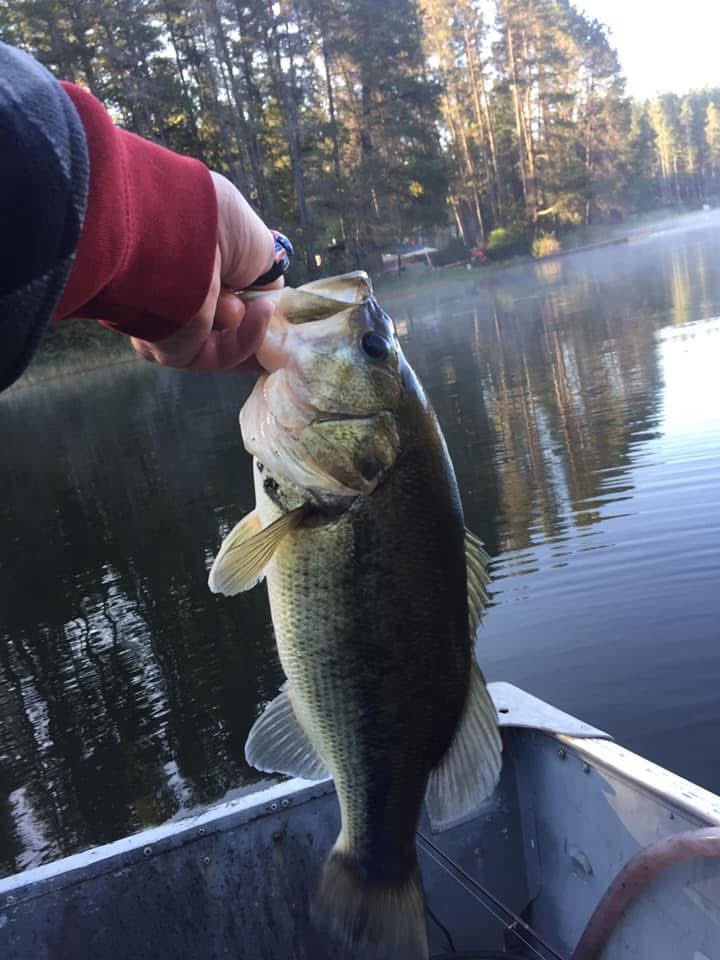 Fishing With Heroes tweet media