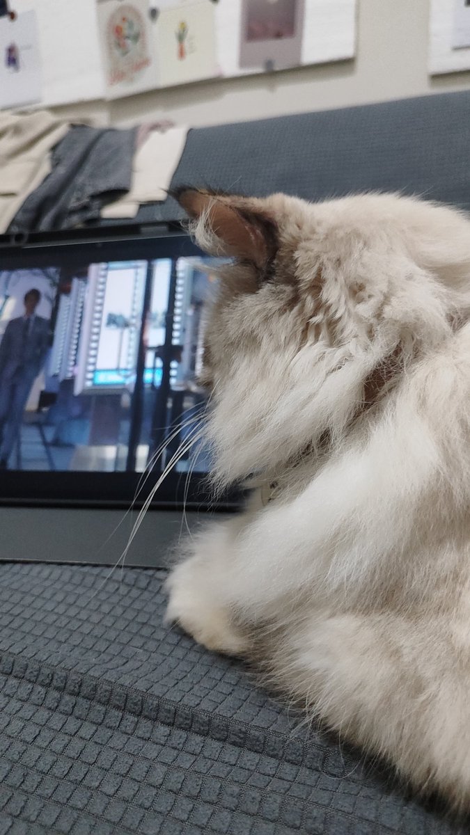 vheyeah's tweet photo. @kochengfs Nonton drakor https://t.co/sApZlhty7i