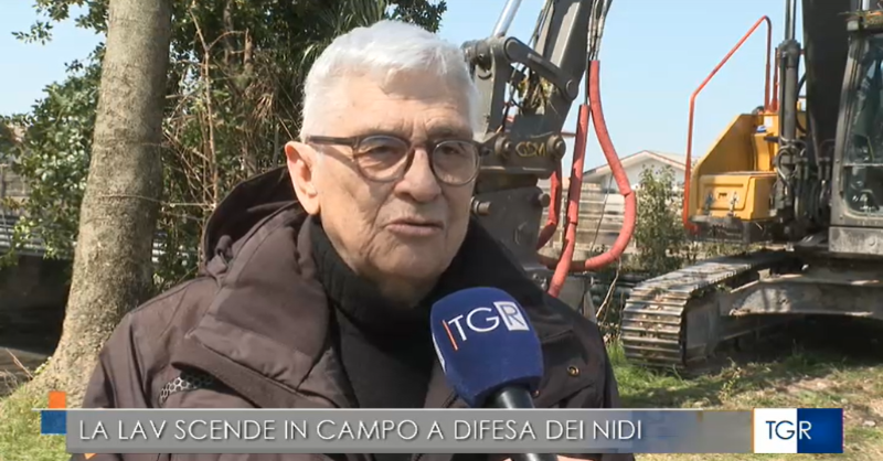 LAV_Italia's tweet photo. Provincia di Udine: lungo il fiume Corno a rischio nidificazione di diverse specie di uccelli. #LAV denuncia e chiede di bloccare le operazioni con sequestro del cantiere. Lo racconta il servizio di @TgrRai Friuli-Venezia Giulia👇