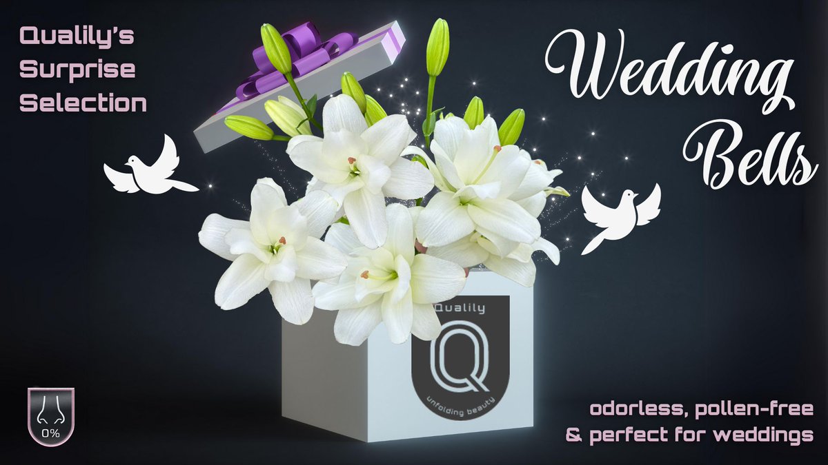 Volgende week op de klok van RFH verkrijgbaar 😍. Ik ga niet trouwen, maar als dat zo was dan wel met deze 👇👇