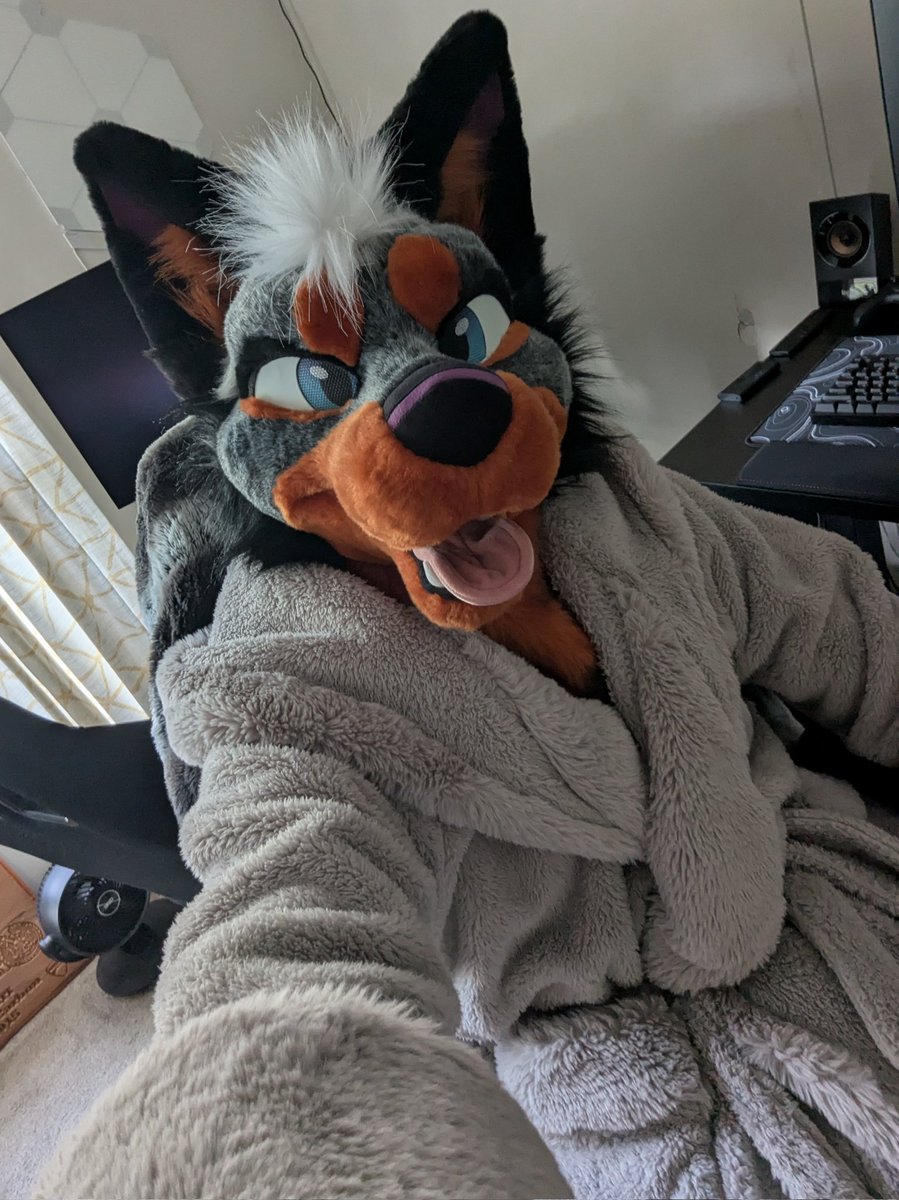 I love waking up after a cool night for a cozy morning. Have a good day and weekend, folks. 
#fursuitFriday
🐶 by <a href="/AllPuffed/">All Puffed Up! // APUP</a> 
Robe is <a href="/spirithoods/">SpiritHoods</a>