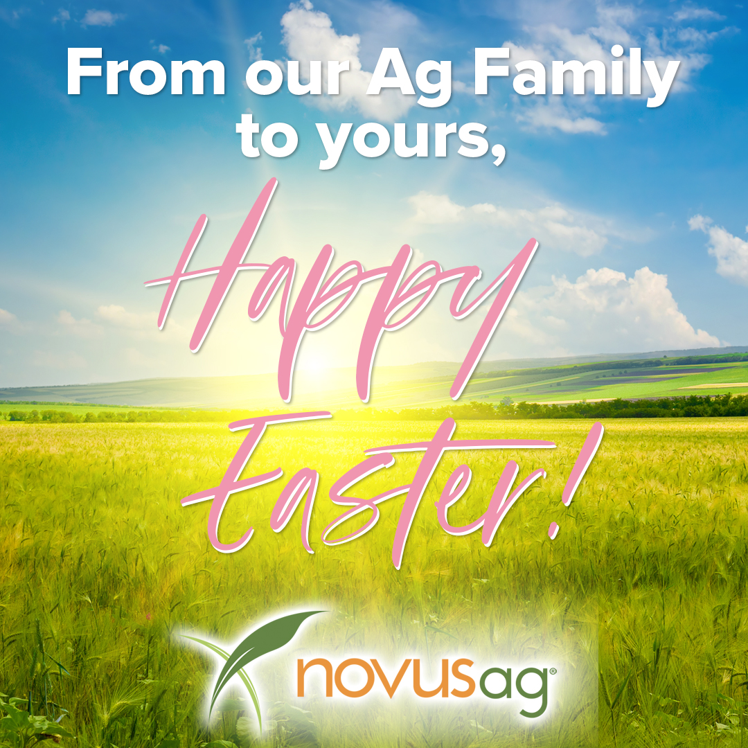 Whether you’re planting seeds or hunting eggs today, we hope you have a wonderful Easter day with family and friends!

#agriculture #novusag #america #freedom #sustainablefarming
