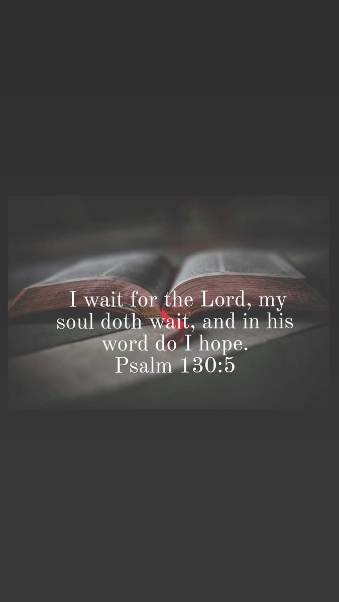 Tracy Killinger 🇺🇸 tweet media