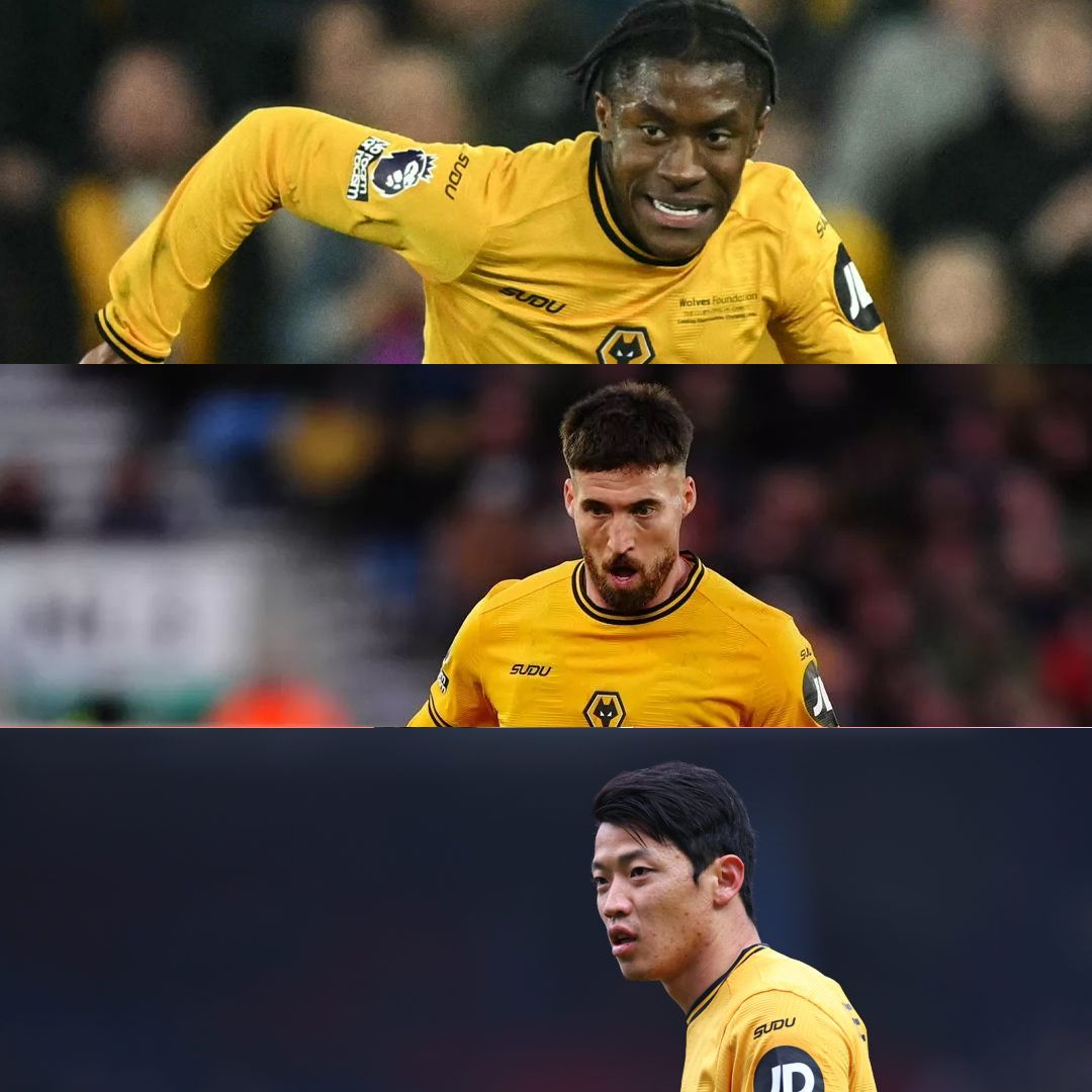 Talking Wolves tweet media