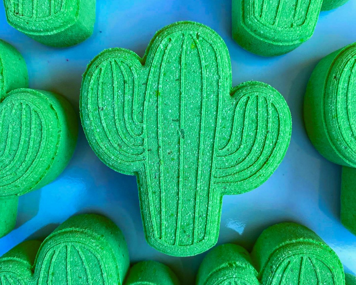 Cactus Festival tweet media