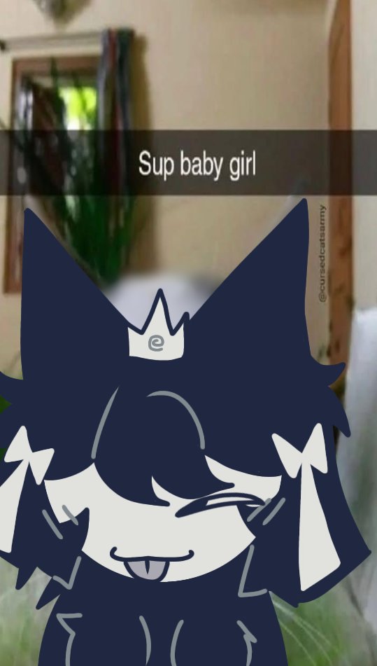 PatriciaRo51239's tweet image. Sighs. This is my last post before I start the parody account. She&apos;s talking to Petunia btw

#fpe #fpelizzy #fpepetunia