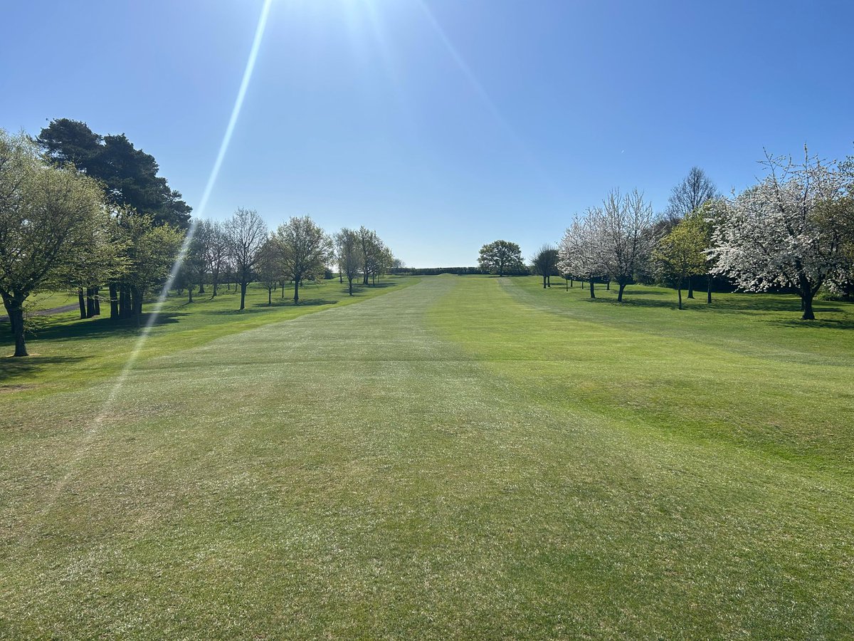 Loz Ryan tweet media