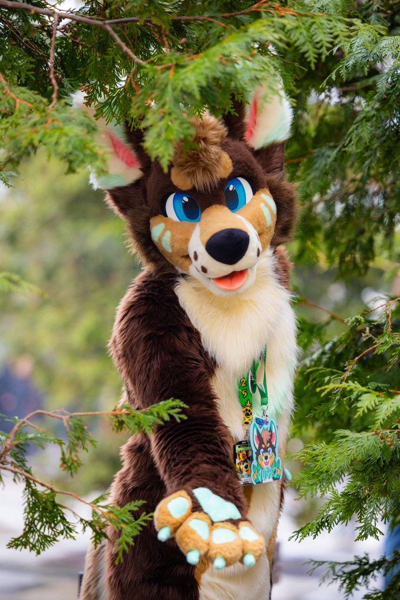 Varro (@varrowolf) on Twitter photo Got this wonderful picture send to me for this #FursuitFriday taken by <a href="/Leola_rua/">๐โจ๐๐๐ ๐๐ ๐ง๐ต๐ฒ ๐ฝ๐๐๐๐๐ฉโจ โก๏ธ EF25</a> Thank you so much! ๐ Got this wonderful picture send to me for this #FursuitFriday taken by <a href="/Leola_rua/">๐โจ๐๐๐ ๐๐ ๐ง๐ต๐ฒ ๐ฝ๐๐๐๐๐ฉโจ โก๏ธ EF25</a> Thank you so much! ๐