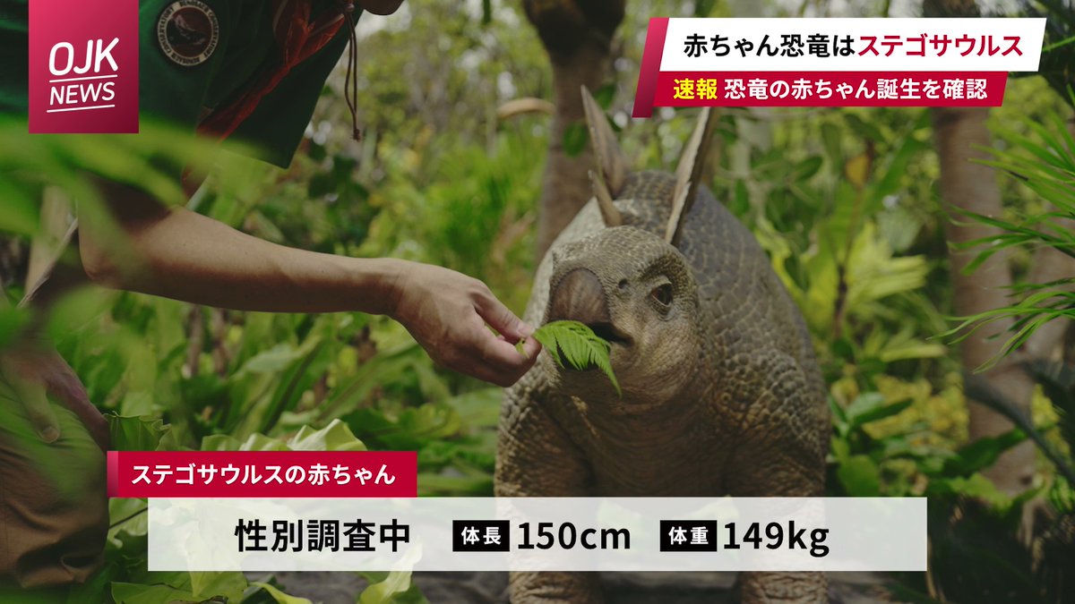 JUNGLIA_OKINAWA's tweet photo. ／
赤ちゃん恐竜の名前を募集中📢
＼

@JUNGLIA_OKINAWA をフォローして、 #ジャングリアの赤ちゃん恐竜 と一緒に名前を投稿してください✨

名前が採用された方には、赤ちゃん恐竜に会える旅行にご招待！
10万円分の旅行券＋ジャングリア沖縄 1Dayチケットペア1組2名様分🎊

また、全応募者の中から抽選で20名様にオリジナルQUOカード1,000円分が当たるチャンスも🎁

🔽応募の詳細は下のポストから🔽

#ジャングリア沖縄