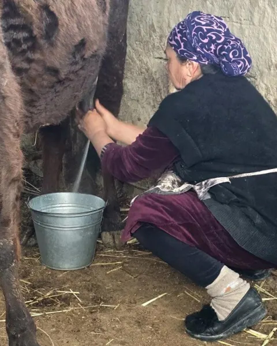 Dr. Kate Leeming OAM tweet media