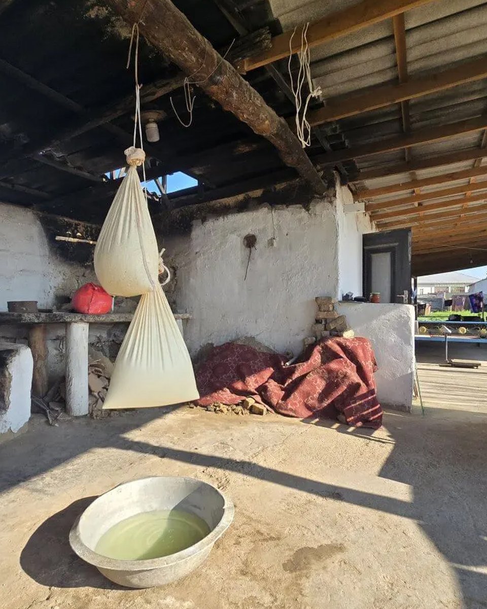 Dr. Kate Leeming OAM tweet media