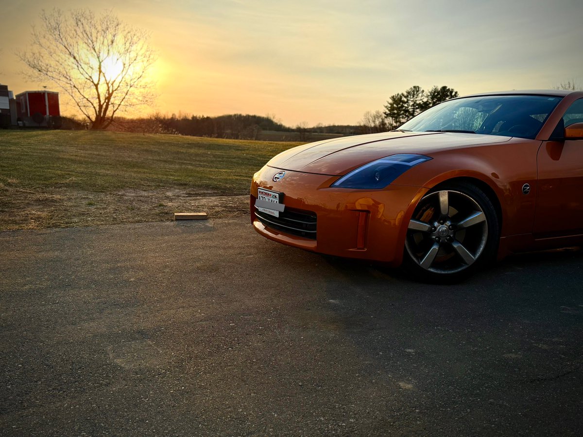 🚨Qeish🚨 tweet media