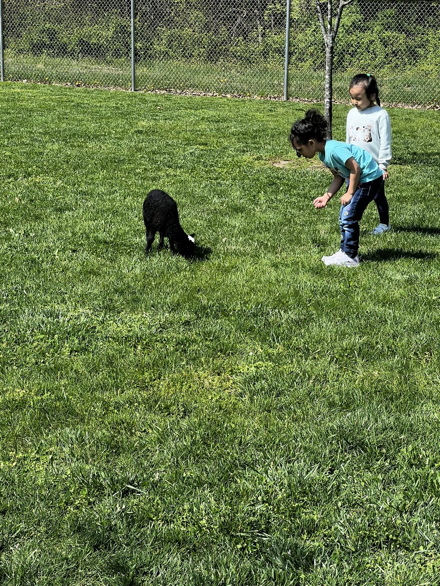 UnseldLearns's tweet photo. Our students are enjoying Farmer Steve and his animals today! https://t.co/Z98LXfvc9w