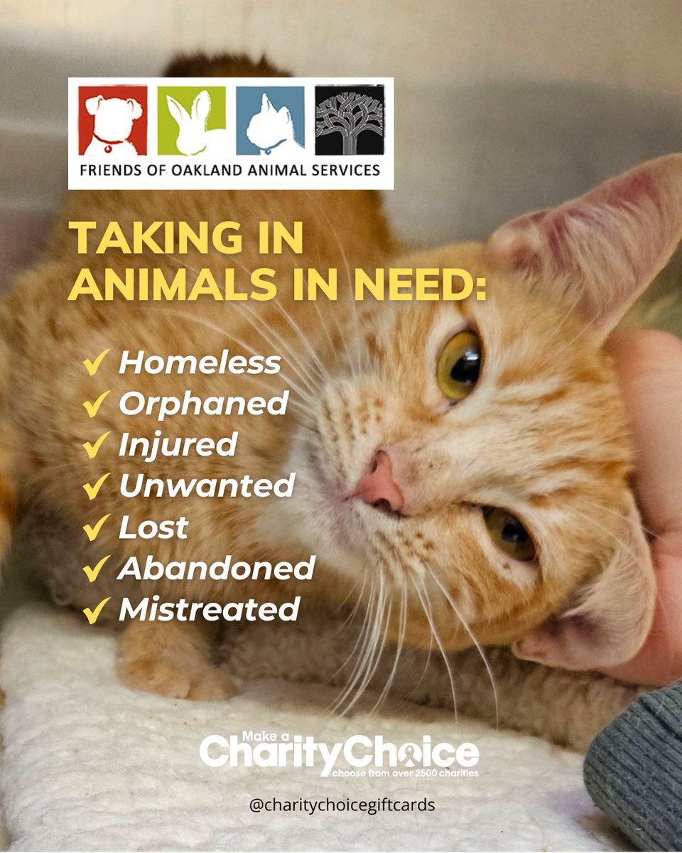 CharityChoice | Charity Gift Cards tweet media