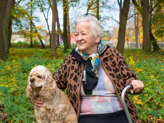 MedicalCareAlrt's tweet photo. 9 Ways To Prevent Financial Elder Abuse - Medical Care Alert https://t.co/IQxbF8pkFy