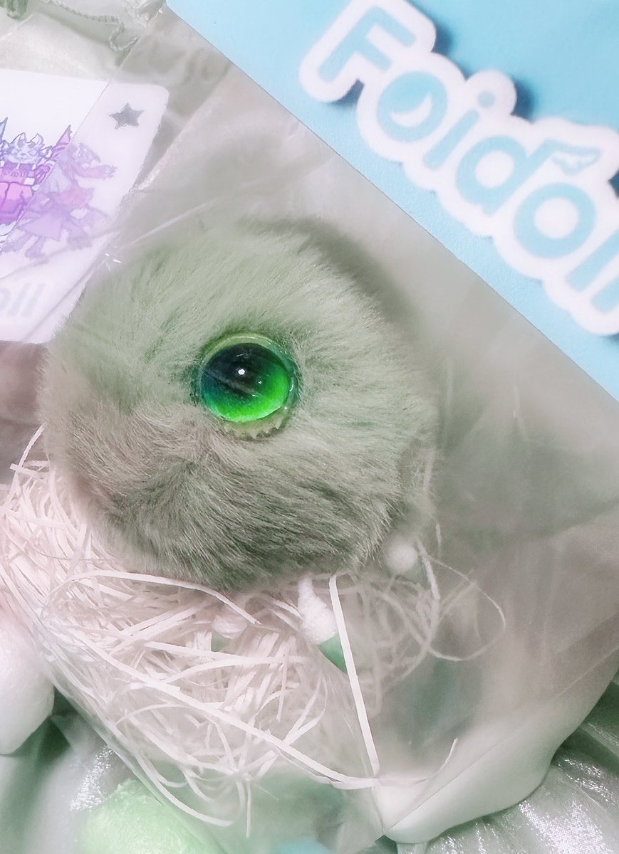 わーいわーい"(ﾉ*>∀<)ﾉ

豆フィーちゃんとピューイ君が来てくれた☺️💕
凄い尊さ…😳✨
緑＆単眼好きなウチのどストライクのピューイ君☺️💕
たまらんです(´﹃｀)