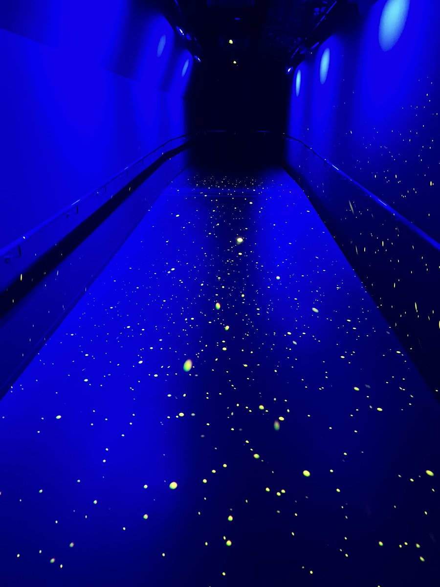 大阪・関西万博
EXPO2025

SNSによる情報より、はるかに良かった！
誘導もしっかりしていた！
何より、約350億の大屋根リングを歩けただけでも、行けて良かった✨

日本の活力を感じました！