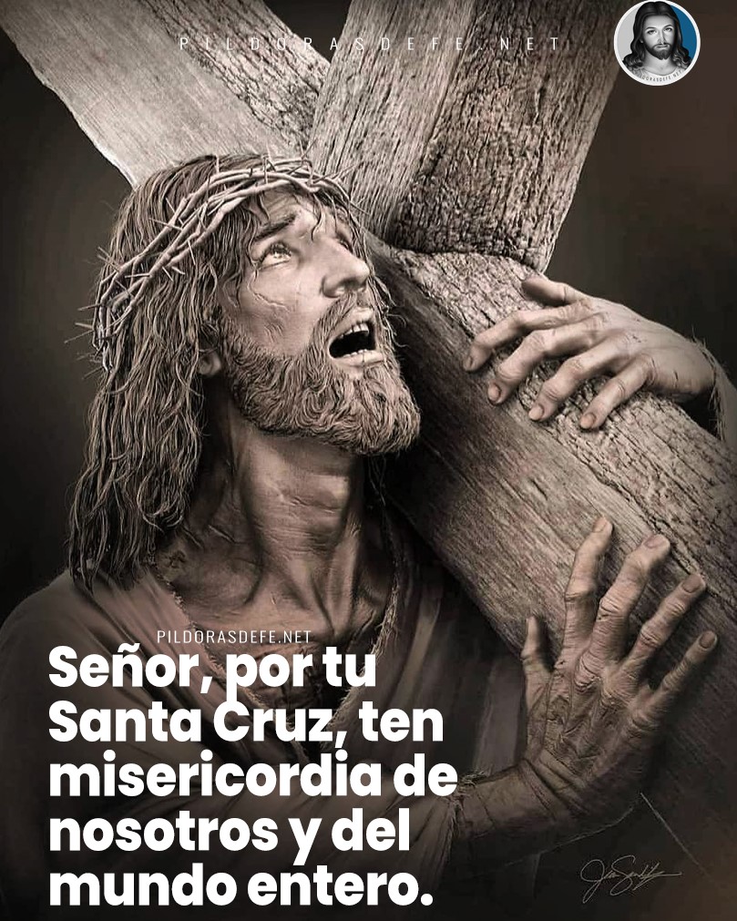 Pildorasdefe's tweet photo. Por tu Santa Cruz, Señor,
ten Misercordia de nosotros
y del mundo entero.
🙏 https://t.co/7RHk7zLgiq