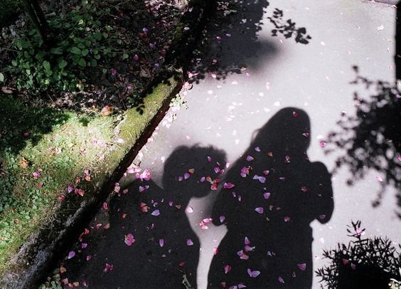 ✨ दिशा 💫 disha⚡ tweet media