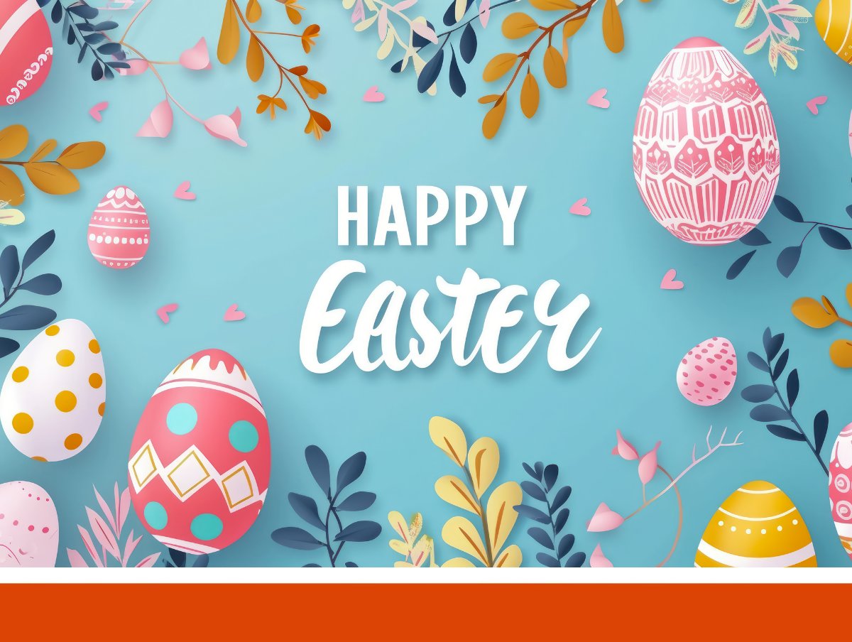 First Franchise Capital tweet media