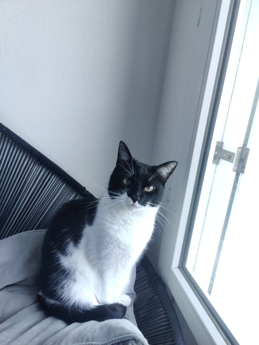 GauchoCalme tweet media