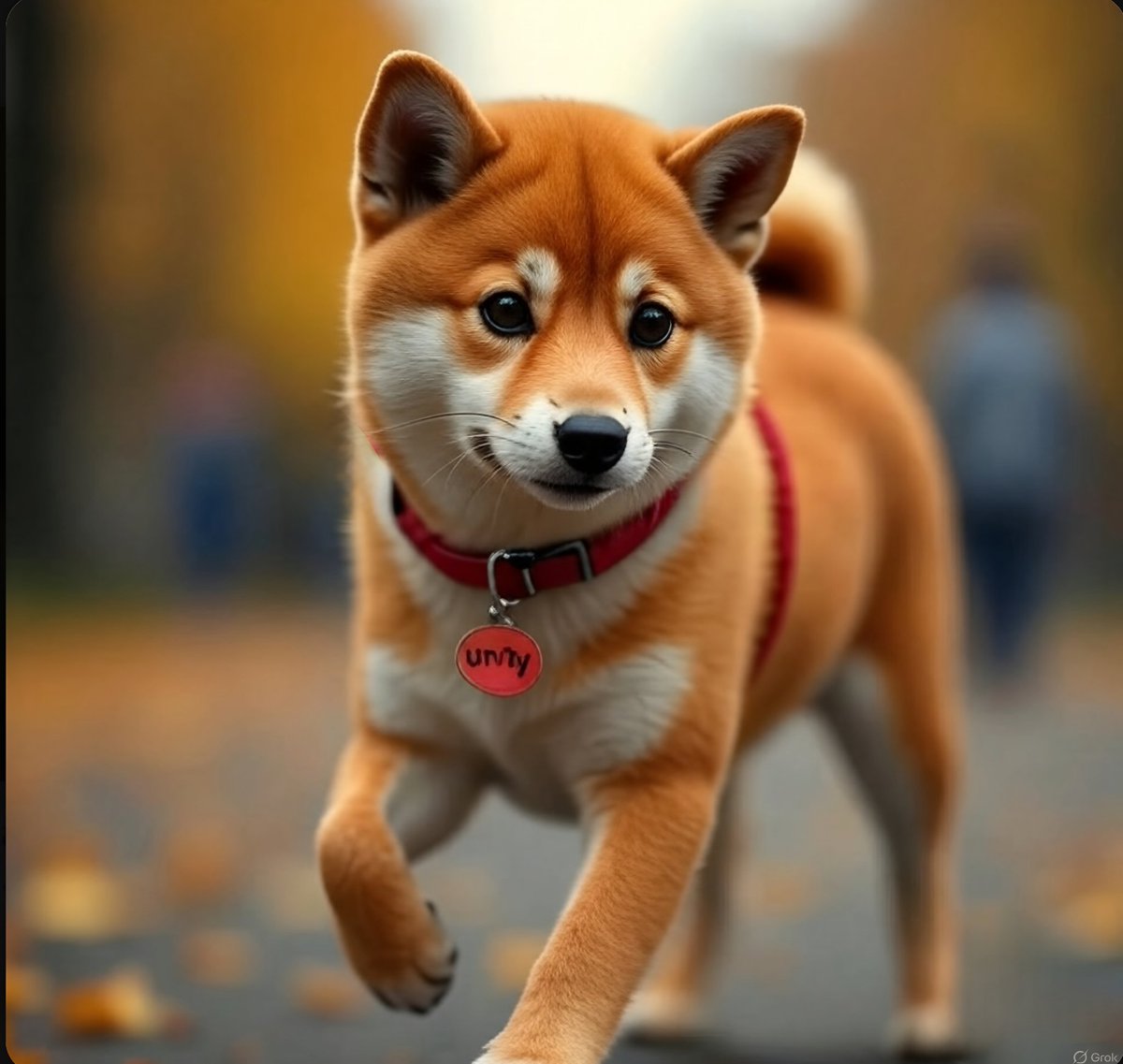 We choose our own path when the going gets tough. Keep making decisions and moving forward. What's done is done. Shiba is the glue that binds us. #Shibarmy