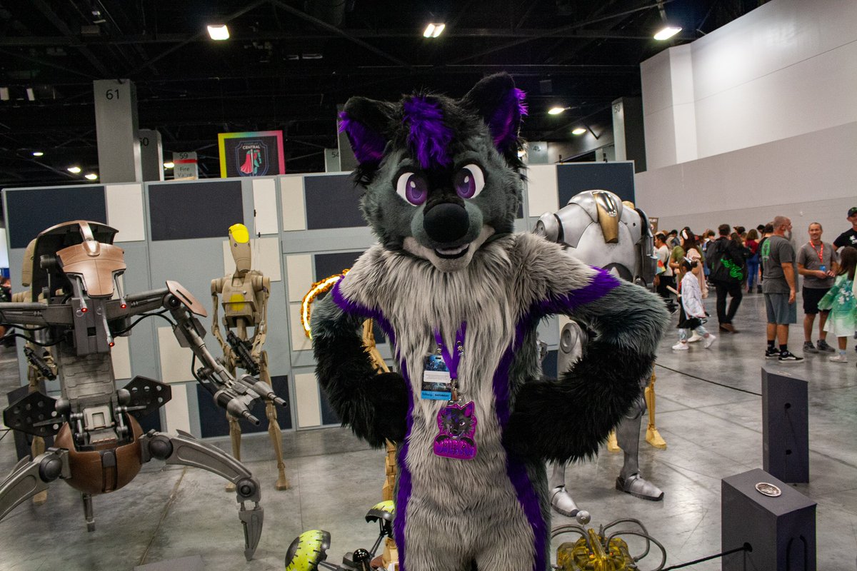 Valckan 🔜 FWA (@valckan) on Twitter photo These are the droids you were looking for 💜
Happy #FursuitFriday 
🪡 <a href="/Fullmoonspecial/">✨Full Moon Special✨</a> These are the droids you were looking for 💜
Happy #FursuitFriday 
🪡 <a href="/Fullmoonspecial/">✨Full Moon Special✨</a>