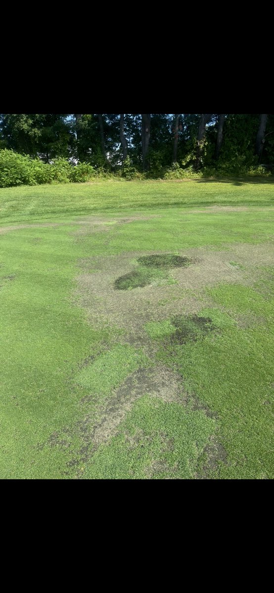 JoshLennie's tweet image. How it started when I took over in October vs how it’s going now… 

When I took over this green had been closed since May 2024. Today I opened for the first time in just under a year.