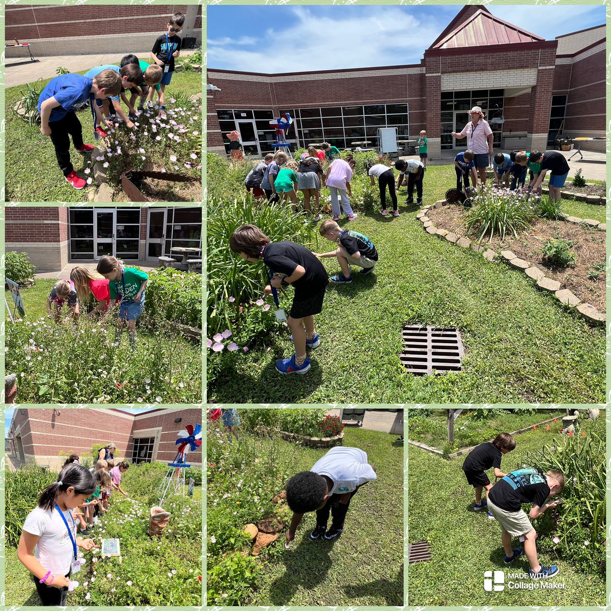 We a FUN Garden Day learning about bees! 🐝 We practiced pollinating like a bee! We also checked on several crops! 🥬🥔🍅Students were excited to go home with a fresh, organic carrot! 🥕 <a href="/readygrowgarden/">Ready to Grow Garden</a> <a href="/wingerrtgg/">Elaine Winger</a> <a href="/SampsonElem/">Sampson Elementary</a> <a href="/SampsonPTO/">Sampson PTO</a> <a href="/2ndgradeSampson/">Sampson2ndgrade</a>