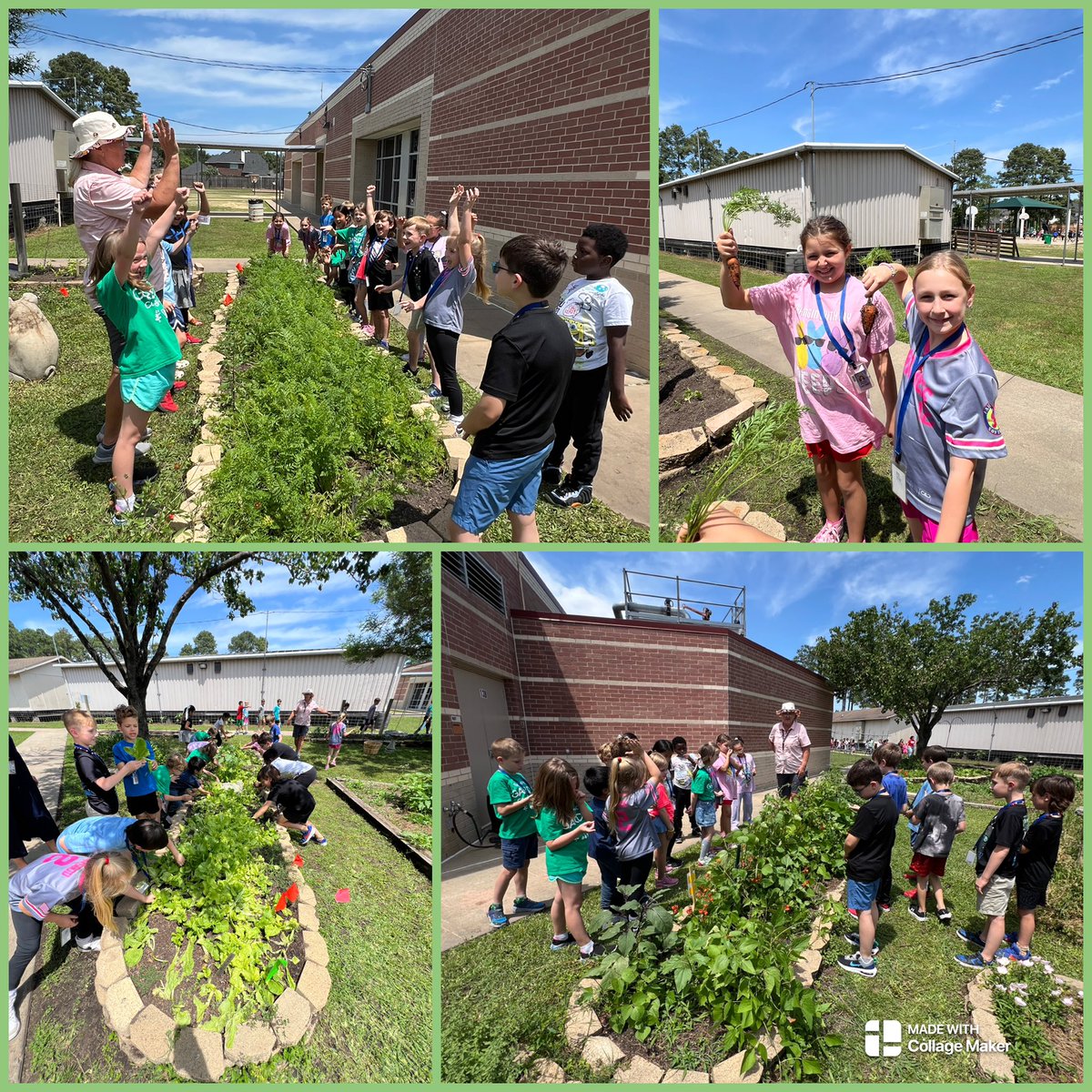 Kristy Michel tweet media