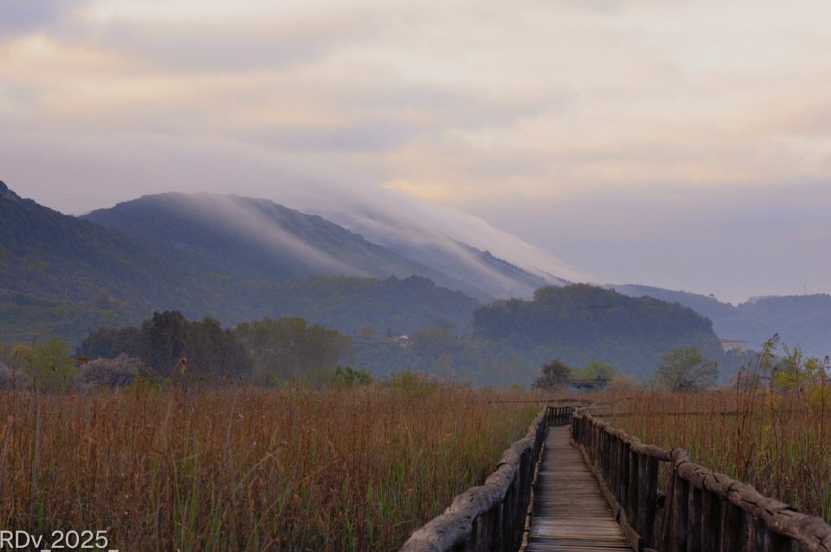Rosie (@rosie_52) on Twitter photo Massaciuccoli, Italy
Misty morning
#misty #MorningVibes #Italy #tuscany #morning #MorningMotivation #mountain #travel #explore
<a href="/ThePhotoHour/">#ThePhotoHour</a> Massaciuccoli, Italy
Misty morning
#misty #MorningVibes #Italy #tuscany #morning #MorningMotivation #mountain #travel #explore
<a href="/ThePhotoHour/">#ThePhotoHour</a>