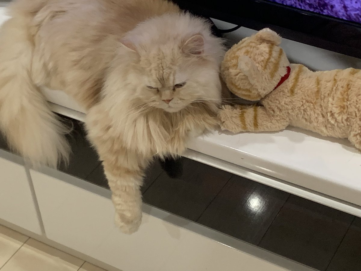 ひとみん (@hitominmin1218) / Posts / X