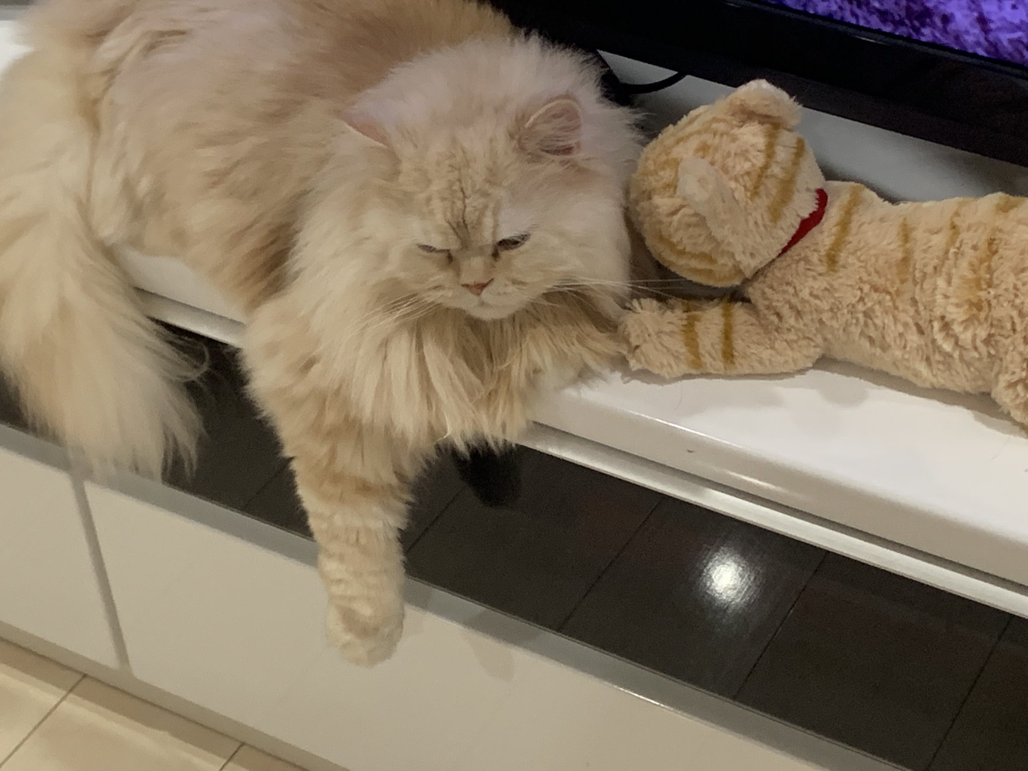 ひとみん (@hitominmin1218) / X