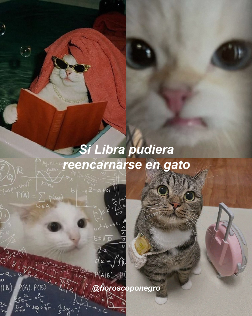 Libra, tu versión michi es la mejor, aunque cambies de cojín cinco veces antes de elegir uno… para luego irte 😂