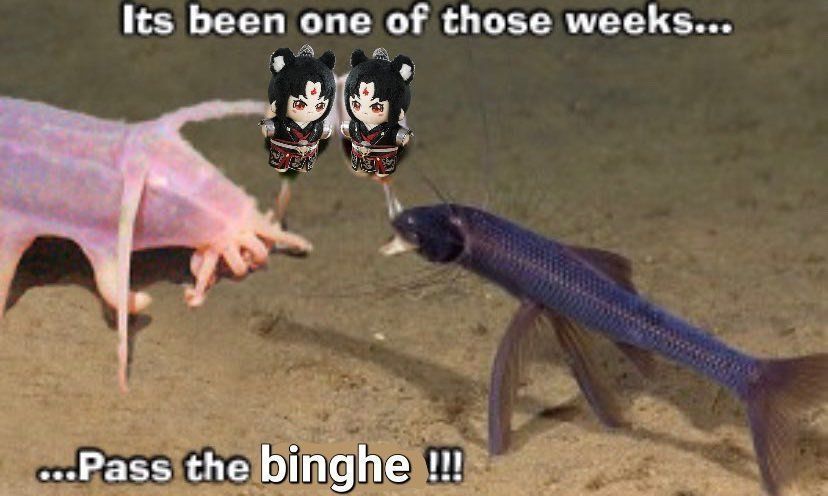 pass the binghe fridays (@passthebinghe) on Twitter photo 