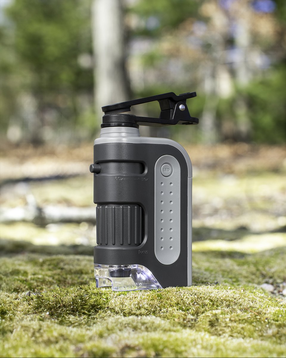 CarsonOptical's tweet photo. What looks like ordinary bark becomes a thriving world of detail. 🌿✨

With the MicroBrite Pro, your phone becomes a window into the tiny details nature hides in plain sight. 🔍

#MicroBrite #CarsonCam #LookCloser #Nature #PocketMicroscope #MicroWorld #FoundInNature #Observation https://t.co/O8dOZuAmZN