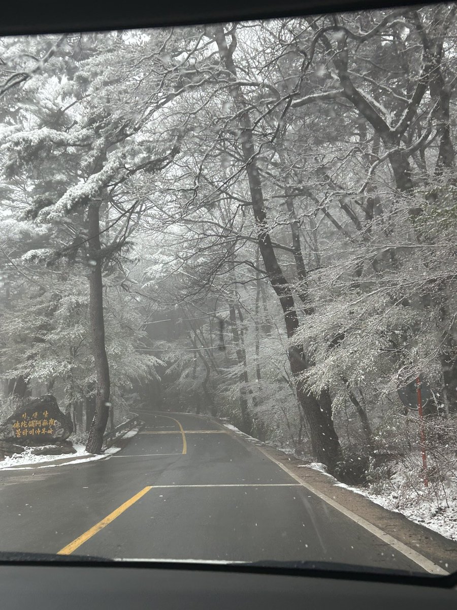 이게 뭐냐면 4월달에 눈 왔던 풍경
초록잎들 위에 눈이라니 ..