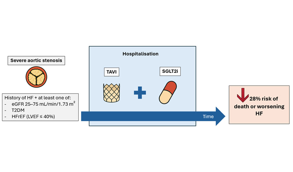 Improving Heart Function (iHF) (@iheartfunction) on Twitter photo 🚨A new #ImprovingHeartFunction Journal Club is out!
<a href="/Jolie_Bruno_/">Jolie Bruno, M.D.</a> & <a href="/AlexMebazaa/">Alexandre Mebazaa</a> review the DAPA-#TAVI trial, presented at #ACC25 and published in <a href="/NEJM/">NEJM</a>.
This is the first trial to evaluate #dapagliflozin in patients undergoing #TAVI at high risk of #HeartFailure.
📖Read 🚨A new #ImprovingHeartFunction Journal Club is out!
<a href="/Jolie_Bruno_/">Jolie Bruno, M.D.</a> & <a href="/AlexMebazaa/">Alexandre Mebazaa</a> review the DAPA-#TAVI trial, presented at #ACC25 and published in <a href="/NEJM/">NEJM</a>.
This is the first trial to evaluate #dapagliflozin in patients undergoing #TAVI at high risk of #HeartFailure.
📖Read