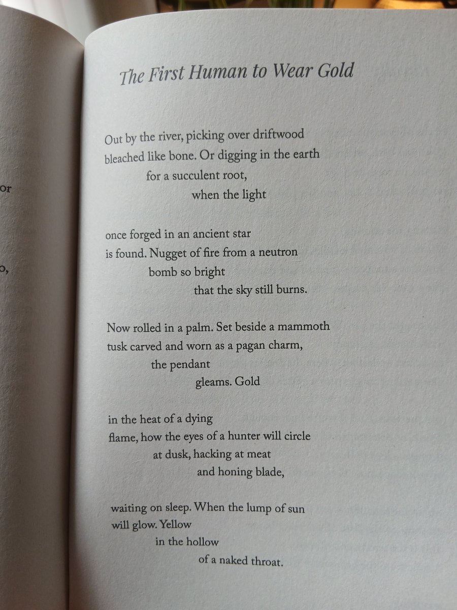 Nicholas Hogg (@nicholas_hogg) on Twitter photo The First Human to Wear Gold.
Collected in Missing Person, published by <a href="/brokensleep/">Broken Sleep Books</a> books. The First Human to Wear Gold.
Collected in Missing Person, published by <a href="/brokensleep/">Broken Sleep Books</a> books.