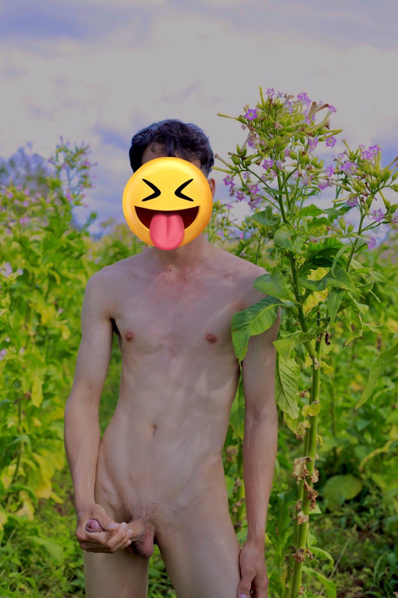 LONGTOP2000's tweet photo. Nứng quá thì phải làm sao !?! Kiếm bot đụ thôi chứ biết sao giờ!! Bmt có bot nào k ib a nhá !! https://t.co/oCHRyHaK1l