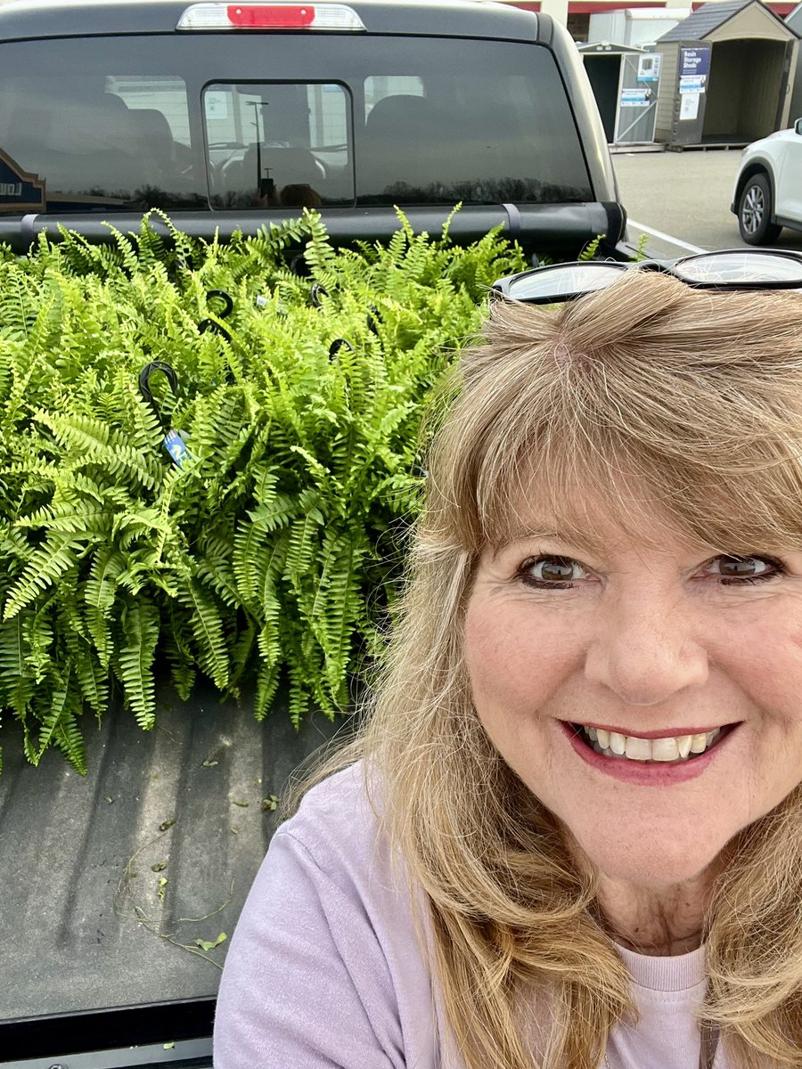CyndiGargan's tweet photo. Ferns! A sure sign spring is here! Now I just have to wash down the porch 🤪 https://t.co/WLYEk6Ozm8