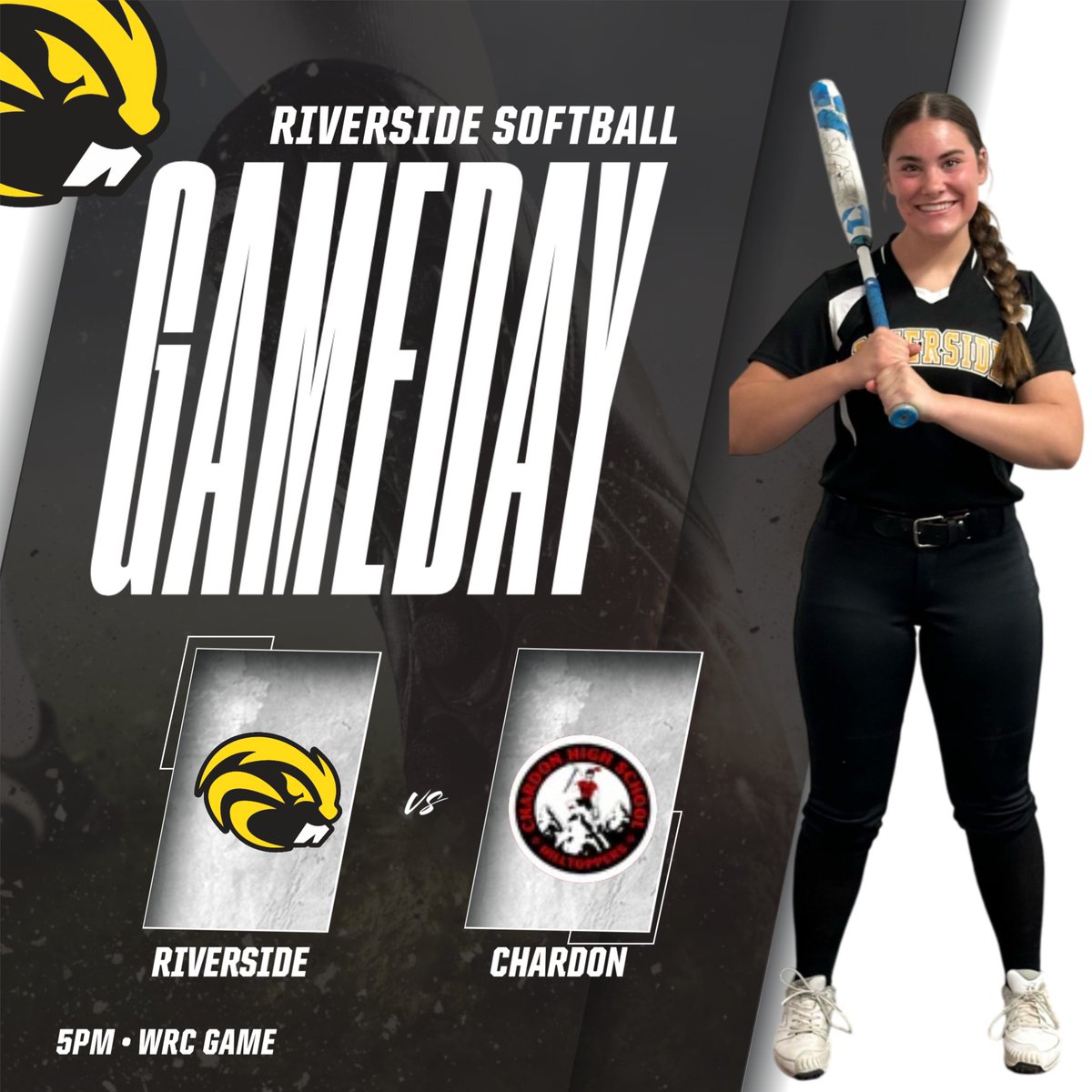 RHSFastpitch (@rhsfastpitchoh) on Twitter photo 
