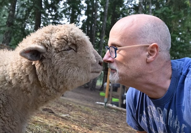 Better Life For Animals tweet media