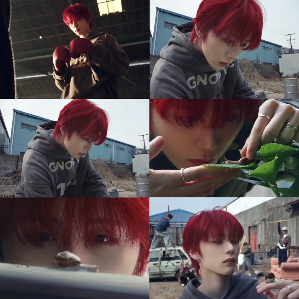 NO GENRE🥊 #태산