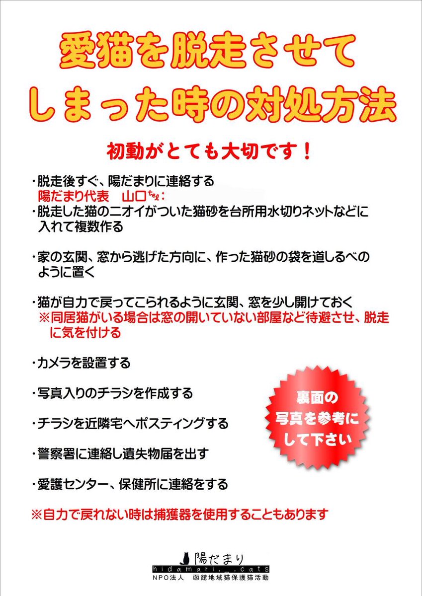 hidamari2021's tweet photo. 陽だまりでは、里親様に猫を譲渡した際、脱走した時の対処方法のプリントをお渡しすることにしました！！もちろん脱走させないことが一番ですが、何が起きるかはわからないですしね。念のため、お渡しすることにしました。 https://t.co/dwmZQry4Lw