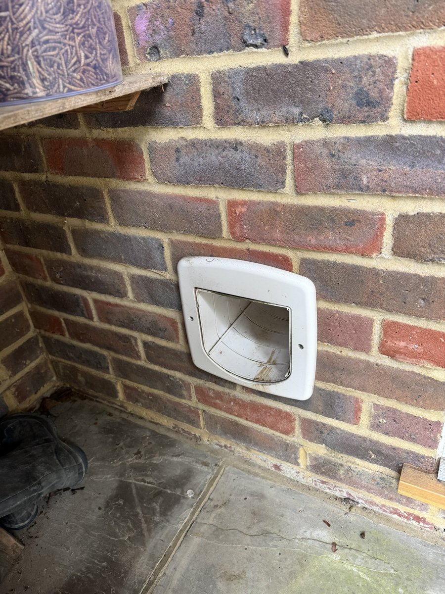 I cannot store our patio chair cushions on the shelf I built for the purpose because while deployed this week, a crow has built its nest on it instead. Searches did not reveal proximity to live cat flap 🙀