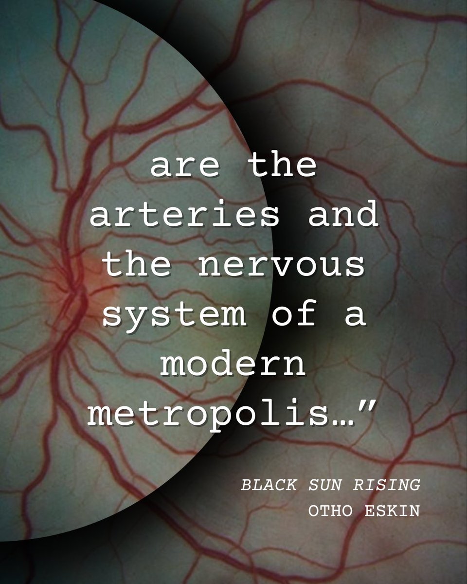 OthoEskin's tweet photo. Did you know there is a secret network of tunnels beneath the city of Washington?
Explore the depths hidden beneath DC in the next Marko Zorn novel, BLACK SUN RISING.

#newrelease #2025books #thrillerseries #washingtondc #crime #catacombs #writing #bookquotes https://t.co/RCfqsQTZ9u