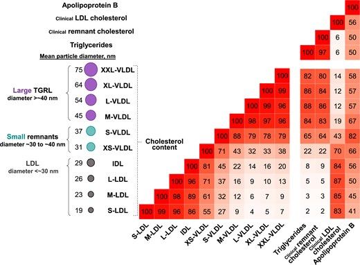 🔥 "Small Remnants versus Large Triglyceride-Rich Lipoproteins in Risk of Atherosclerotic #Cardiovascular Disease"

by Benjamin N Wadström and others
@Nordestgaard 

👉 buff.ly/ati25da 
#PathTwitter #LabMedX #MedTwitter