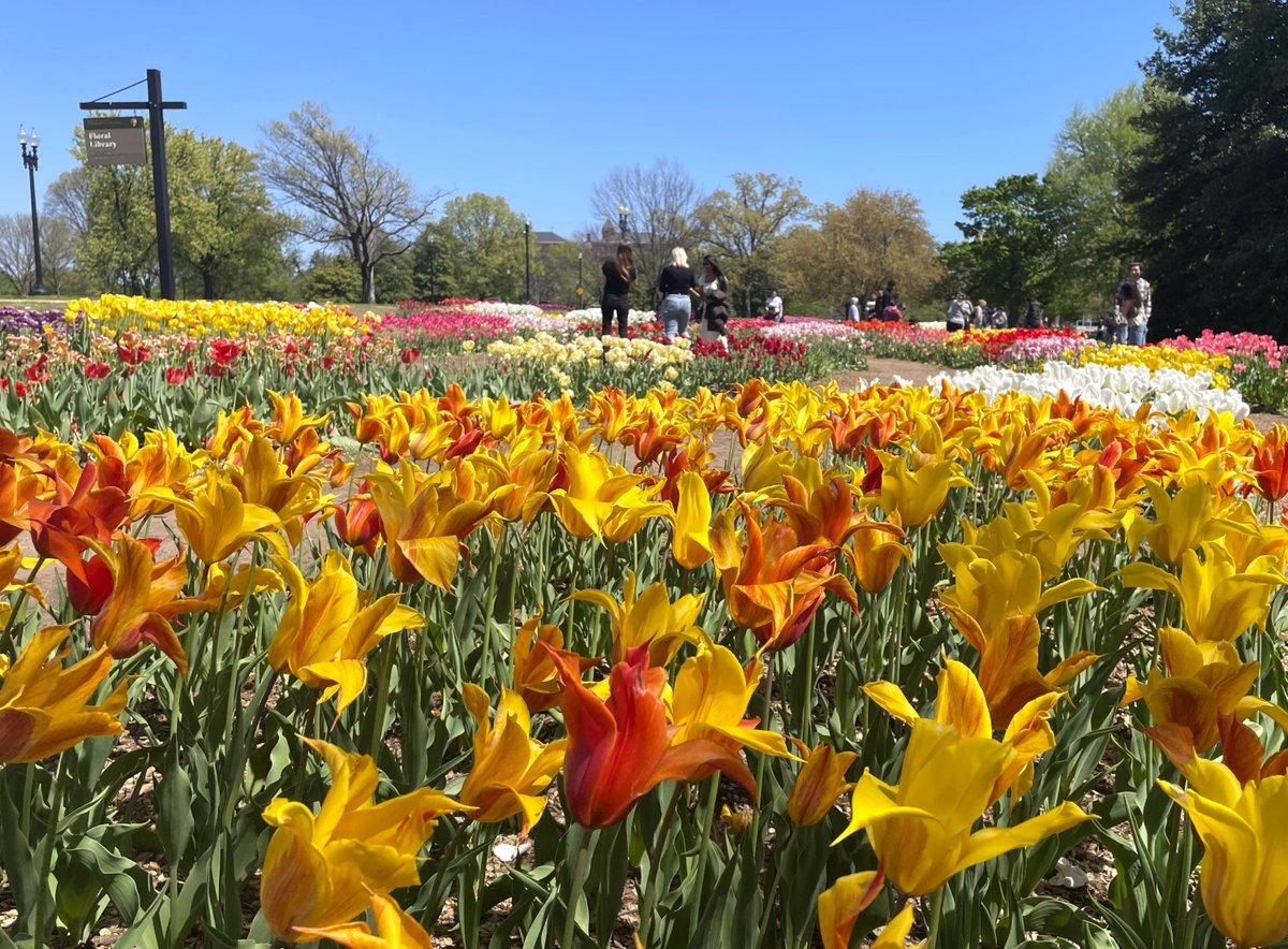 NationalMallNPS's tweet photo. We're in our Spring Flower Era! Near the Tidal Basin, along Independence Ave, the Floral Library was established in 1969 and boasts dozens of flower beds featuring tulips &amp; annuals. As First Lady Claudia “Lady Bird” Johnson said: “Where flowers bloom, so does hope.”🌷🌼🌺🌻 https://t.co/k4ZYXbgCdm