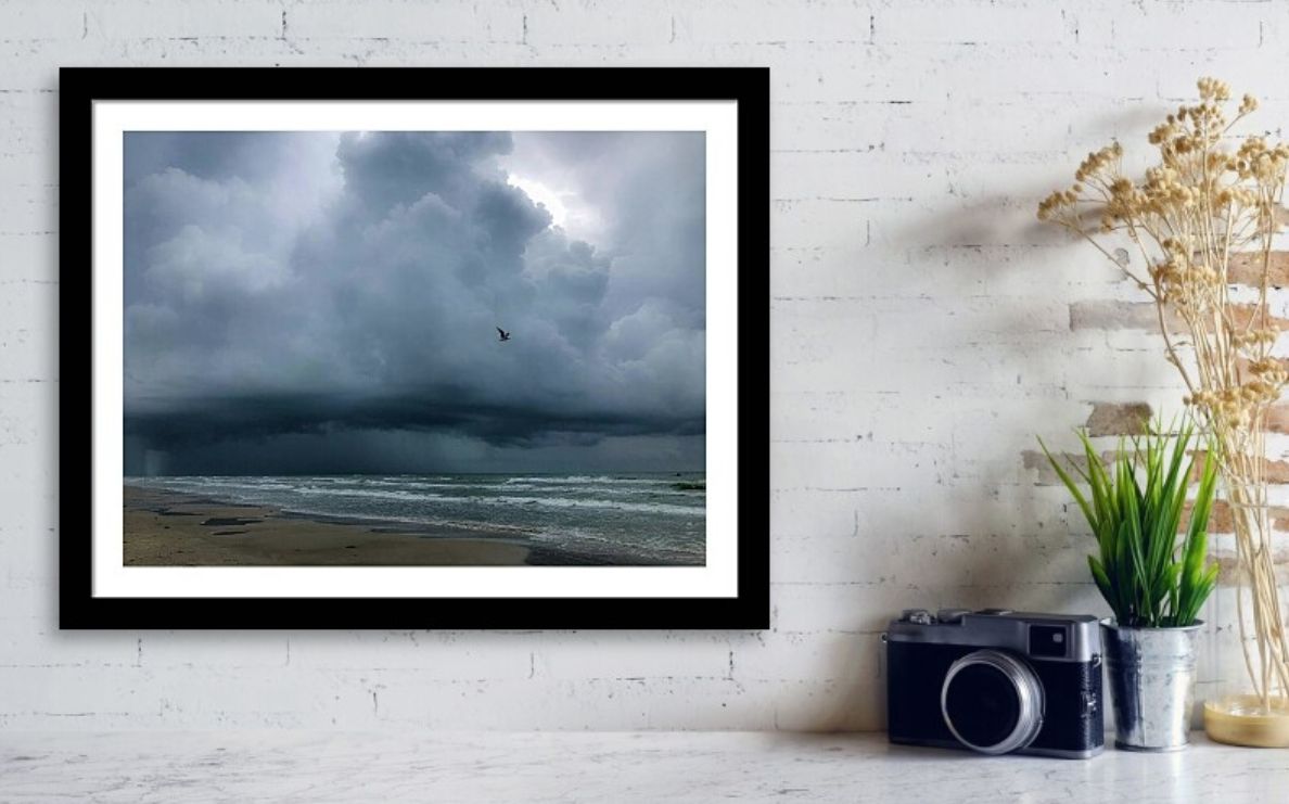 DebraMartz's tweet photo. Thunderstorm on Padre Island National Seashore Framed Print by Debra Martz https://t.co/VFjcr14KR2 

#thunderstorm #stormyClouds #Gray clouds #gulfofmexico #beach #PadreIsland #photography #PhotographyIsArt #BuyIntoArt #AYearForArt #WallArt #HomeDecor https://t.co/adUxpfkzwf
